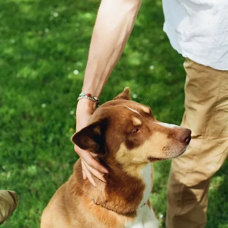 Apartamento Orto Di Borghi *