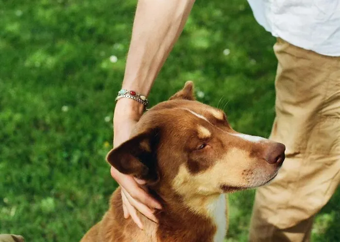 Appartement Orto Di Borghi *